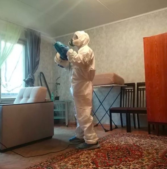 дезинсекция квартиры в Сафоново